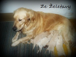 baddy-ze-sourozenci--7-.jpg